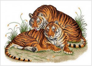 Пара тигров - картинка					№9423