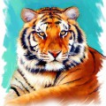 Портрет тигра - картинка №12480