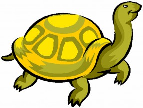 Желтая черепаха - картинка					№5885