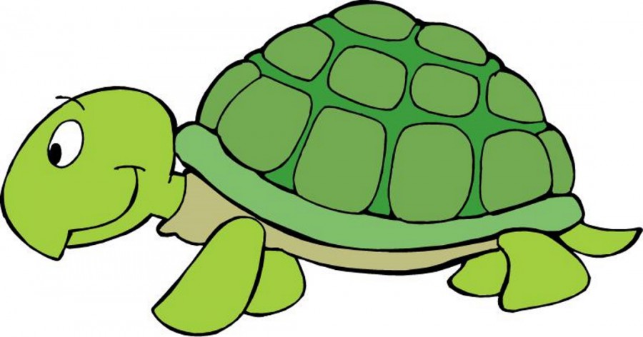 Картинка черепаха - картинка №7490