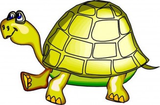 Рисунок черепахи - картинка					№11675