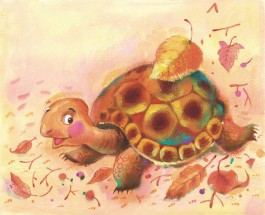 Черепаха красивая - картинка					№13653