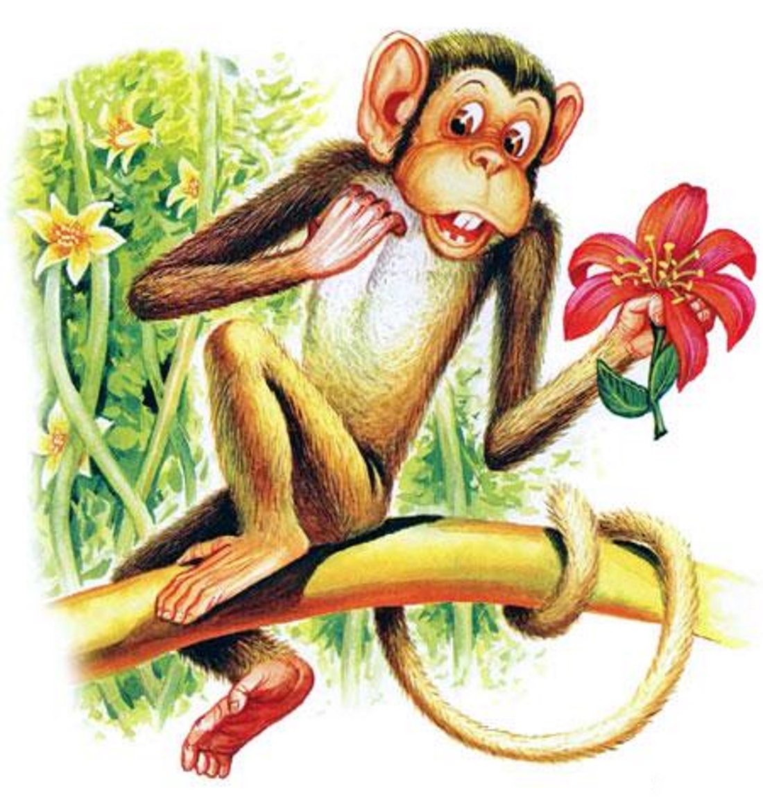 Жидков обезьян. Орис Житков «про обезьянку». Сказочная обезьянка. Иллюстрация к басне зеркало и обезьяна. Обезьяна из сказки.
