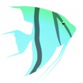 Бирюзовая рыба ангел - картинка №6053