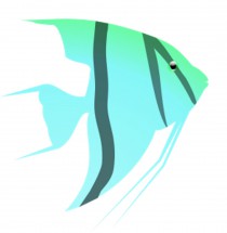 Бирюзовая рыба ангел - картинка					№6053