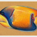 Тропическая рыбка ангел - картинка №11730