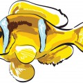 Желтая рыба клоун - картинка №10261
