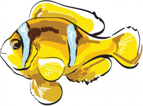 Желтая рыба клоун - картинка					№10261