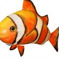 Красивая оранжевая рыба клоун - картинка №10568
