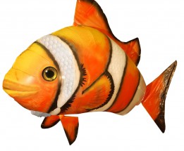 Красивая оранжевая рыба клоун - картинка					№10568
