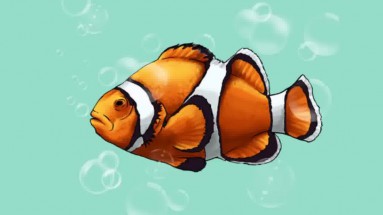 Оранжевая рыбка клоун в воде - картинка					№12216