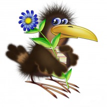 Пушистая ворона с фиолетовым цветком - картинка					№12893