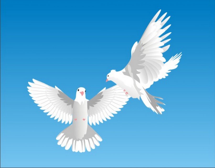 Два голубя в голубом небе - картинка №11926