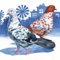 Два пестрых голубя на фоне города - картинка №11054