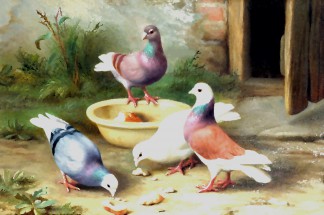 Четрые голубя кушают хлебушек во дворе - картинка					№12968