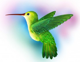 Зеленая колибри - картинка					№7492