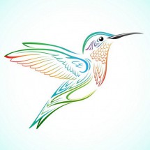 Разноцветная колибри - картинка					№13042