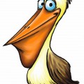 Импозантный пеликан - картинка №12195