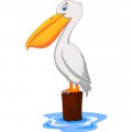 Пеликан милашка сидит на пеньке в воде - картинка №9460