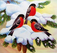 Три снегиря на заснеженной елочке - картинка					№12612