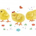 Трое цыплят - картинка №12418