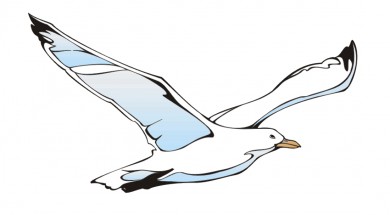 Летящая чайка - картинка					№6386