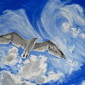 Чайка в небе - картинка №12671