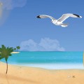 Чайка летает над пляжем - картинка №11623