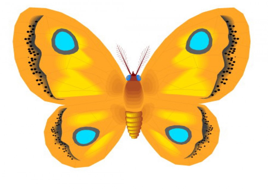 Желтая бабочка - картинка №7531