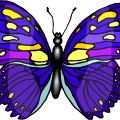 Насыщенно лиловая бабочка с желтыми пятнами - картинка №13211