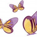 Три бабочки - картинка №8669