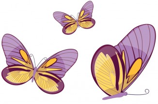 Три бабочки - картинка					№8669