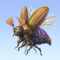 Майский жук в полете - картинка №14129