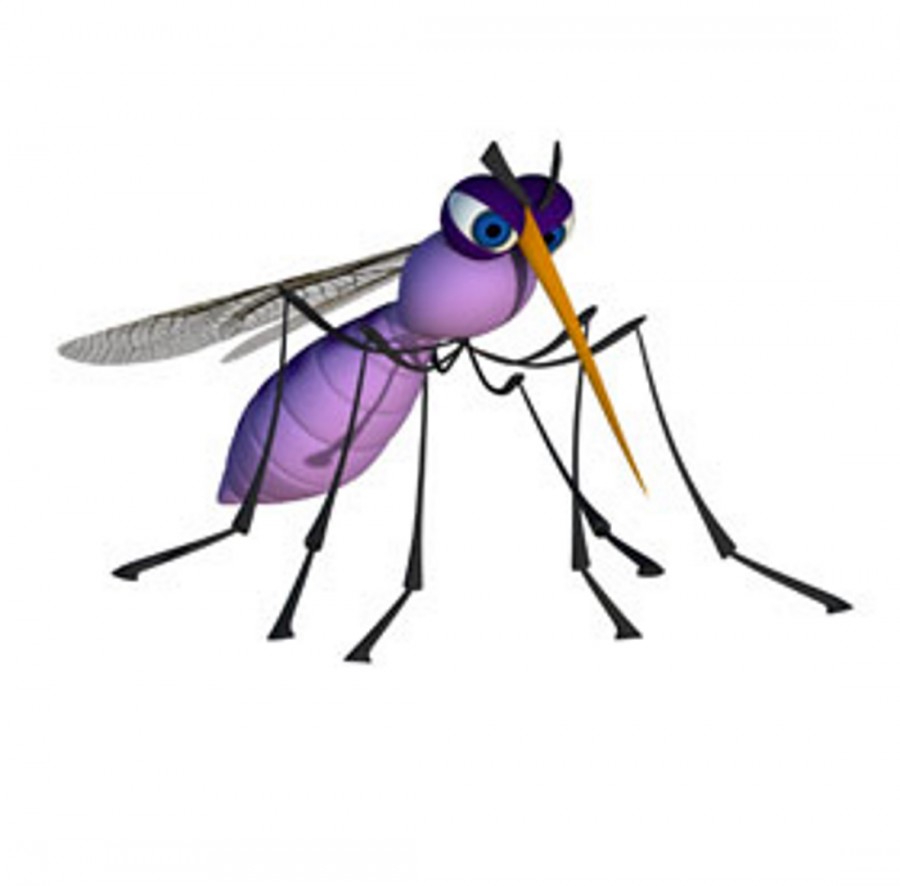 Картинка комар на прозрачном фоне