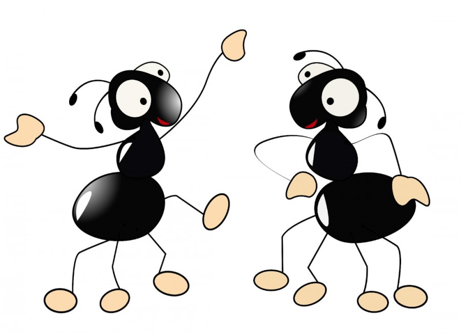 Два муравья общаются - картинка №6490