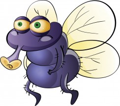 Фиолетовая толстая муха - картинка					№13318
