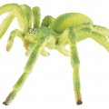 Большой желтый паук - картинка №6518