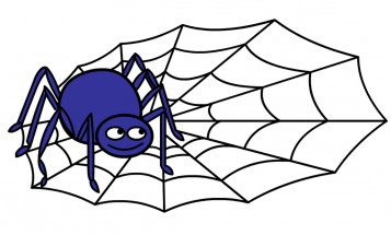Синий паук на паутине - картинка					№11990