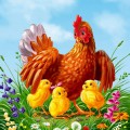 Курица на лужайке с детками - картинка №10200