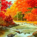 Золотая осень в лесу у реки - картинка №13975