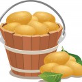 Картофель в корзине - картинка №12390