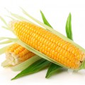 Початки кукурузы - картинка №10556