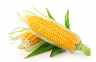 Початки кукурузы - картинка					№10556