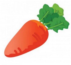 Короткая морковка - картинка					№11948