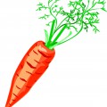 Красная морковь - картинка №12645