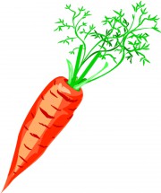 Красная морковь - картинка					№12645