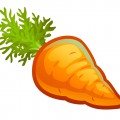 Толстая морковка - картинка №11299