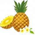 Полтора ананаса с цветком - картинка №10901