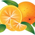 Апельсин в разрезе - картинка №6993