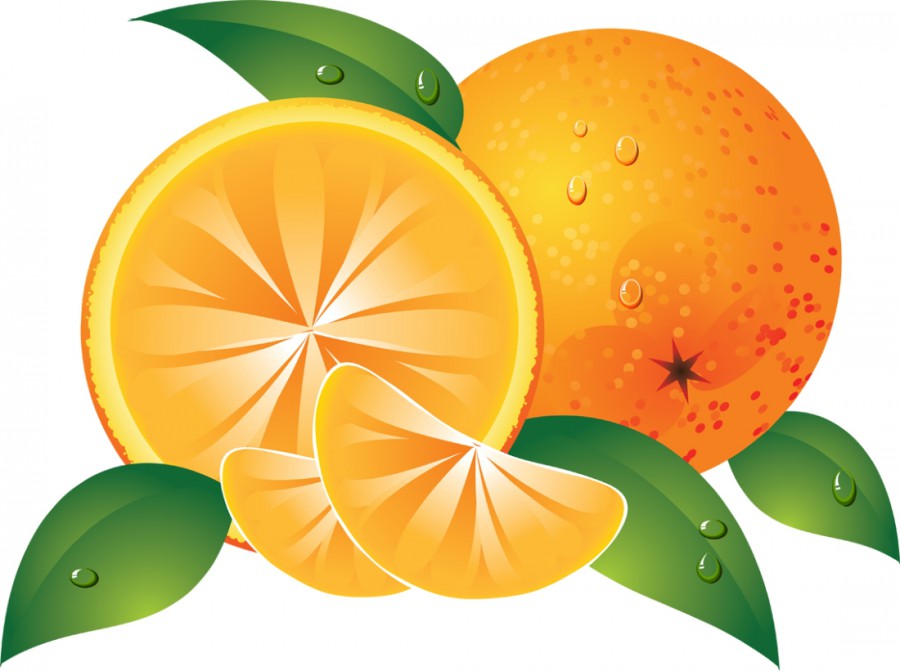 Апельсин в разрезе - картинка №6993